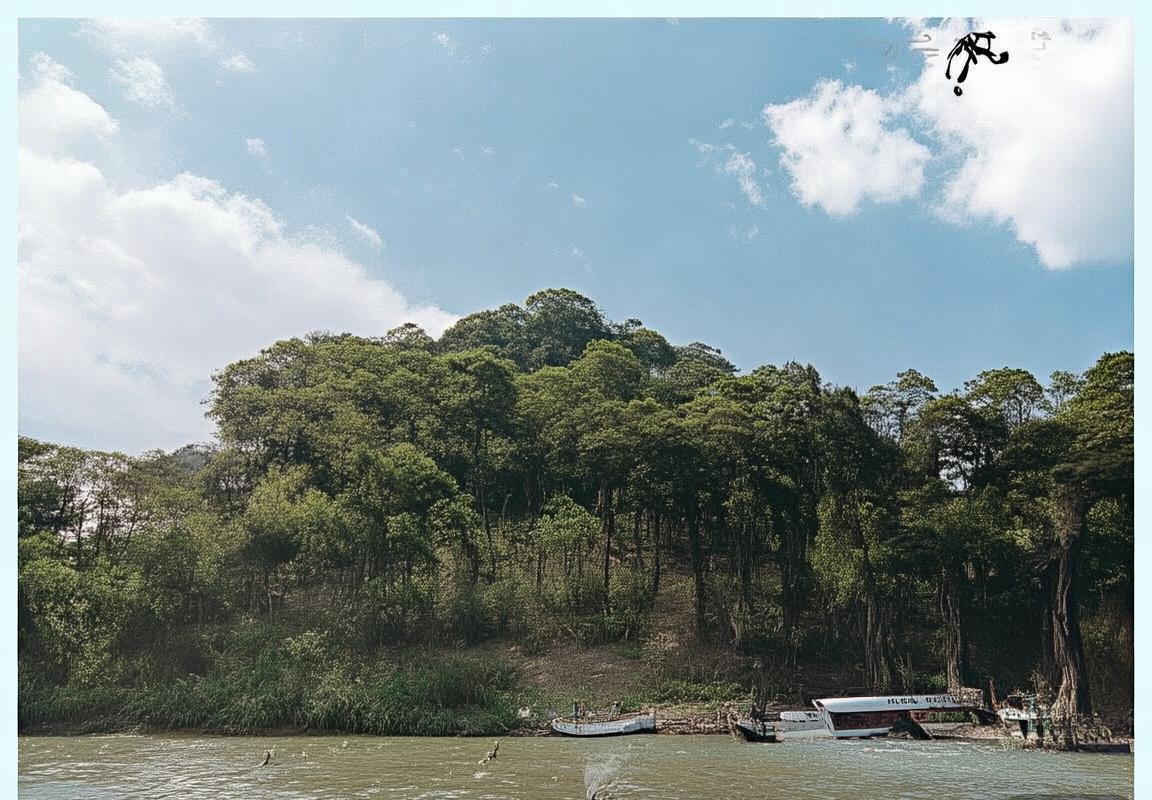 广厦队迎战首尔骑士：全面解析实力对决与不屈斗志